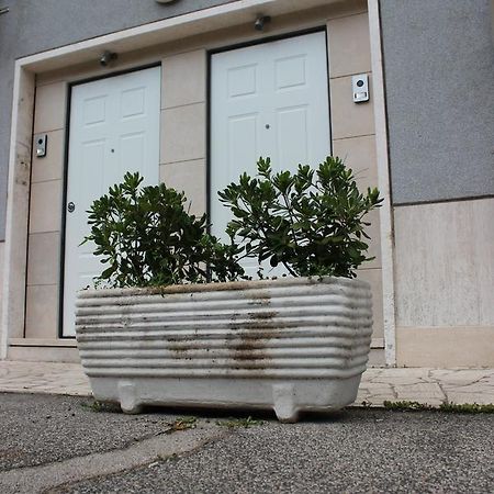 Apartament Locazione Turistica "Loft Roma Tiburtina" Zewnętrze zdjęcie